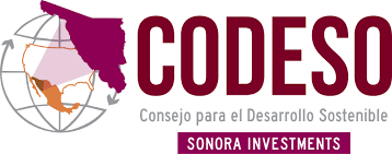 CODESO Logo